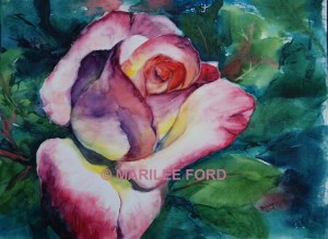 fnf_deliciousrose_large