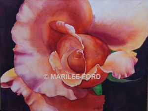 fnf_unfurlingbeauty_large