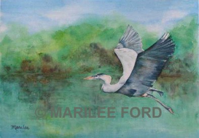 nw_laguna-heron_large