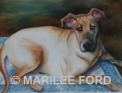 nw_mybestfriend_large