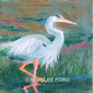 pc_heronhunting_large