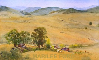 ps_petalumaautumn_largec